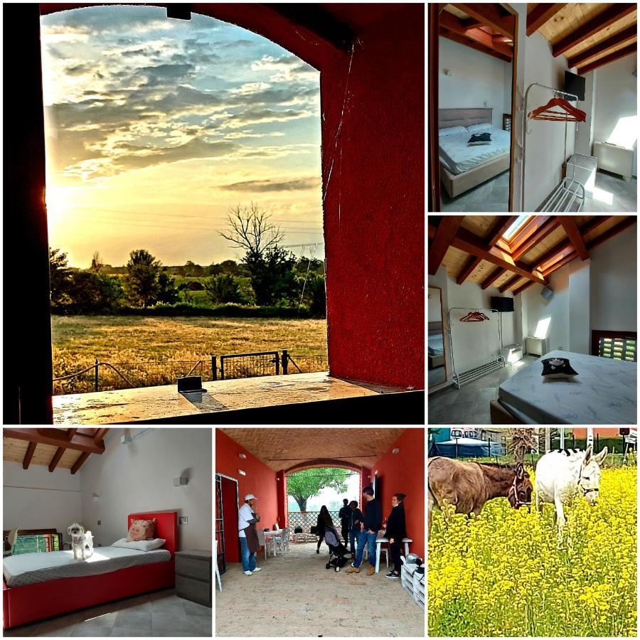 Agriturismo Fattoria Ferrari Maria Rita Pozza Экстерьер фото